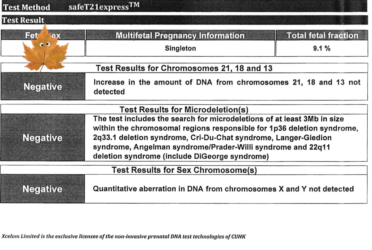 高才孕14周 香港敏儿安T21无创安全下车,国内供卵试管贵不贵呀,代孕供卵包成功
