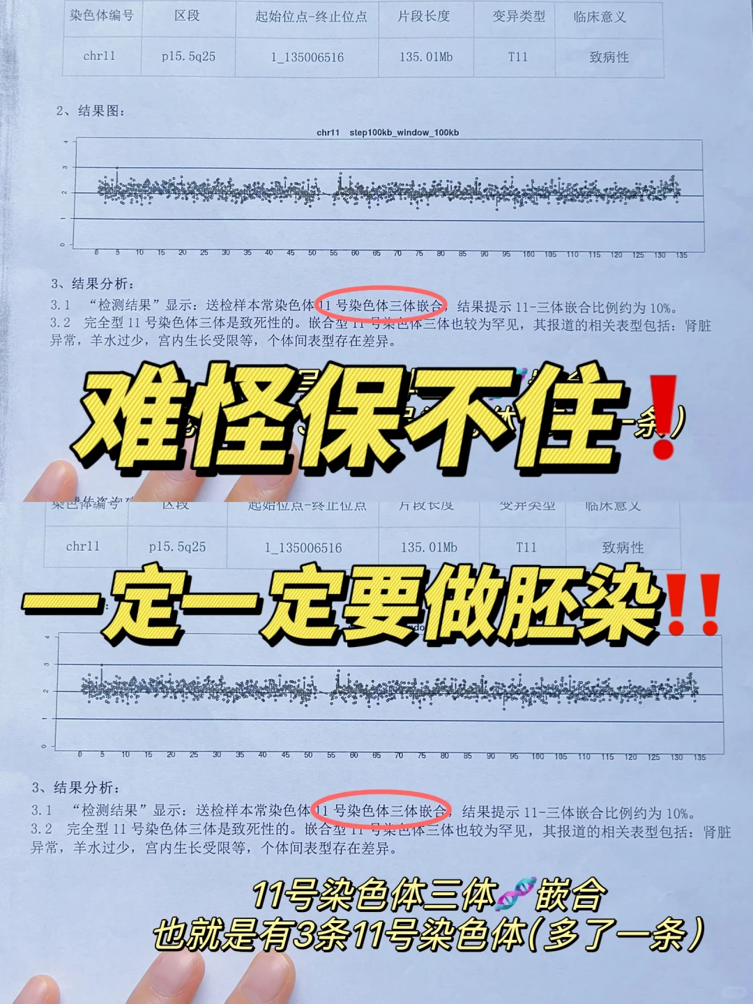 罕见的胎停原因❗2500元的胚检结果已出,试管代孕成功率最高